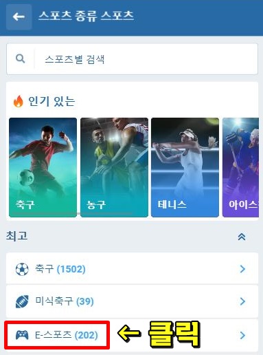 e스포츠 토토