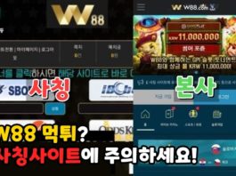 w88 먹튀사이트