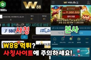 w88 먹튀사이트