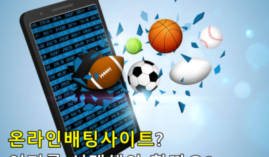 온라인사이트 추천 위험 리스크를 줄이면서 배팅하는 법 ⚠️
