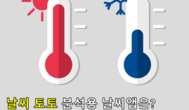 날씨 배팅 분석 정확한 날씨앱은 고르려면?