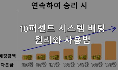 바카라 배팅법! 10퍼센트 시스템 배팅 마스터하기