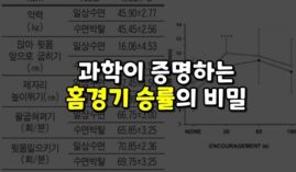 홈그라운드 승률이 높은 이유는? 과학적으로 알아보자