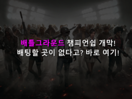배틀그라운드 토토