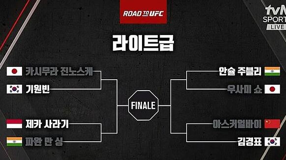road to ufc 배팅추천