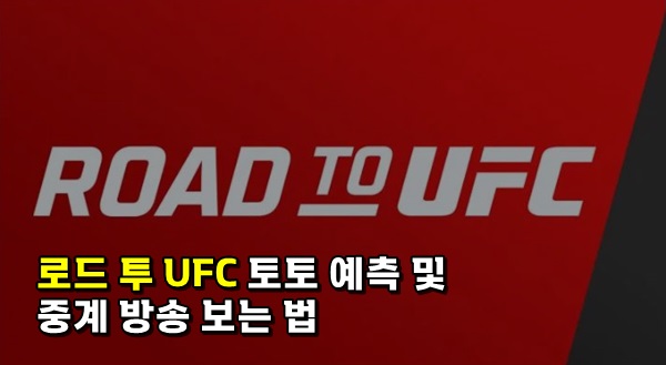 road to ufc 토토