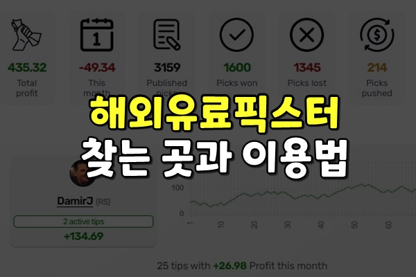 해외유료픽스터