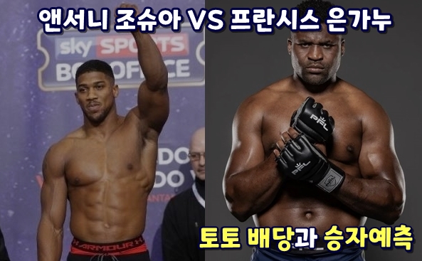 은가누 조슈아 토토