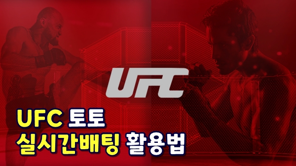 ufc 토토