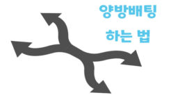 양방배팅 하는 법: 스포츠 베팅에서 수익을 확보하기 위한 자세한 가이드