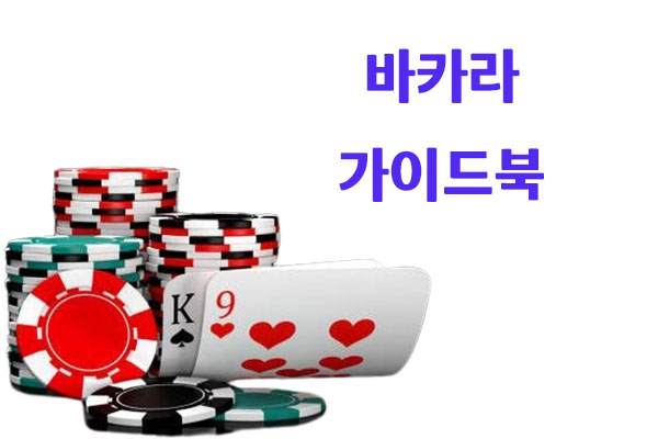 바카라 가이드북