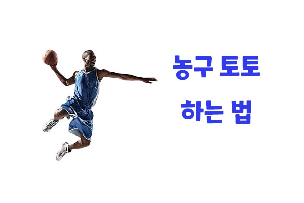 농구 토토 하는법