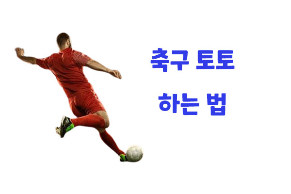 축구 토토 하는법